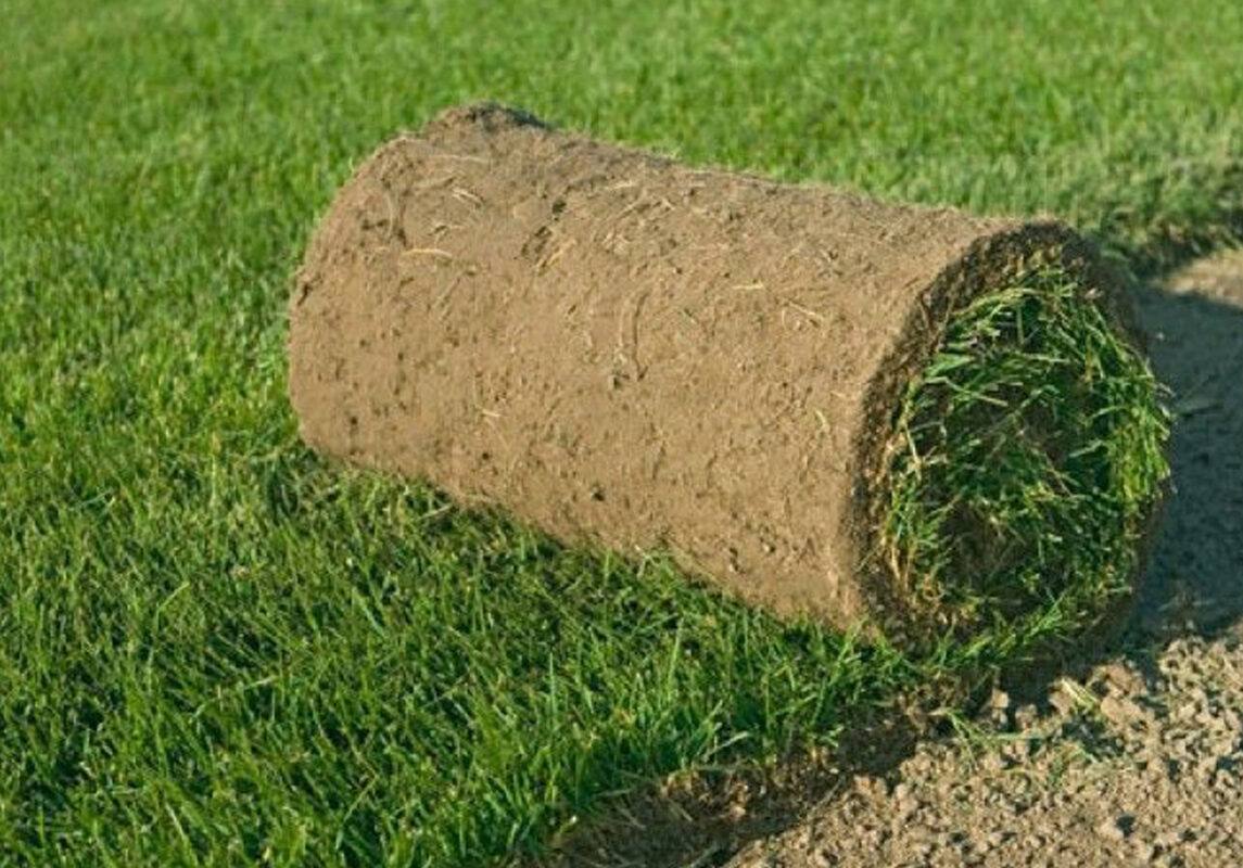 Грин Роял | Green Royal - Ландшафтный дизайн под ключ в Нижнем Новгороде, Нижегородской области и других регионах России Грин Роял | Green Royal - Ландшафтный дизайн под ключ в Нижнем Новгороде, Нижегородской области и других регионах России