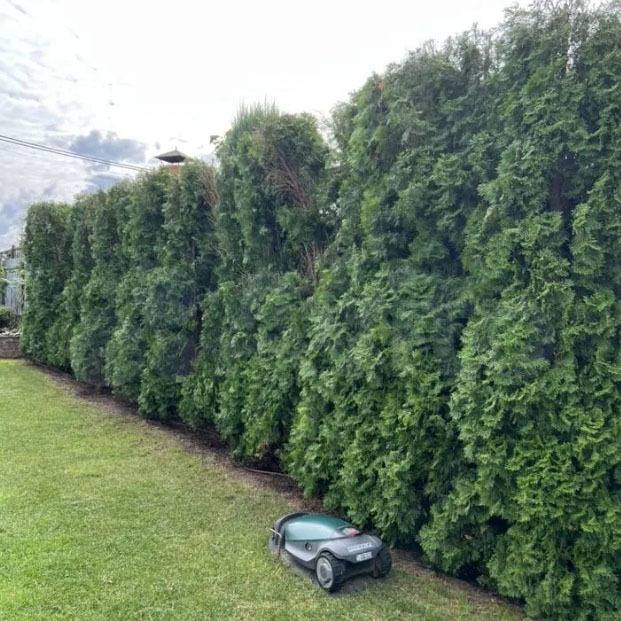 Грин Роял | Green Royal - Ландшафтный дизайн под ключ в Нижнем Новгороде, Нижегородской области и других регионах России