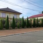 Грин Роял | Green Royal - Ландшафтный дизайн под ключ в Нижнем Новгороде, Нижегородской области и других регионах России
