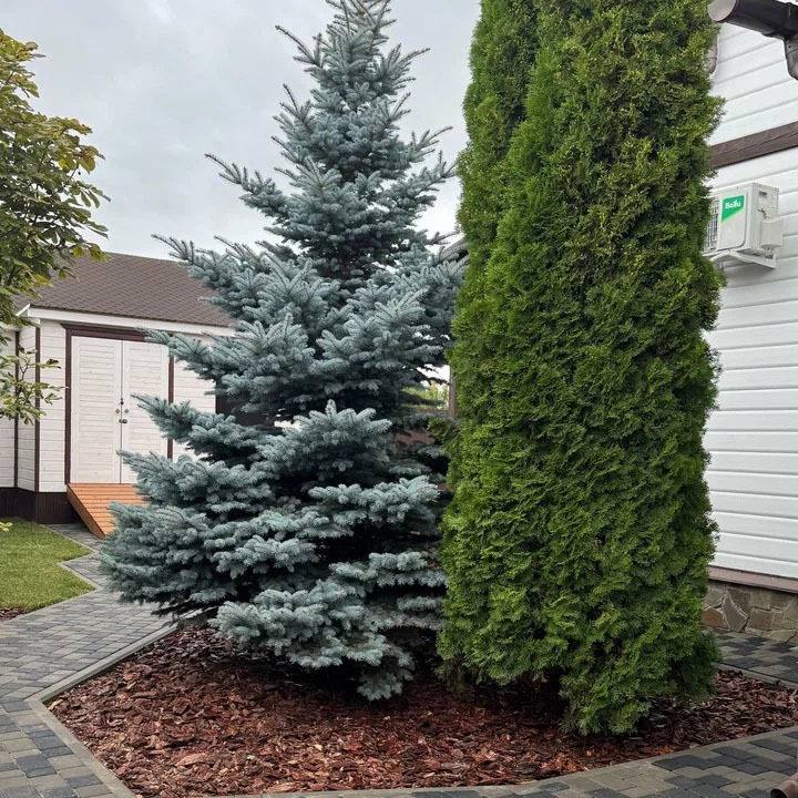 Грин Роял | Green Royal - Ландшафтный дизайн под ключ в Нижнем Новгороде, Нижегородской области и других регионах России