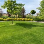 Грин Роял | Green Royal - Ландшафтный дизайн под ключ в Нижнем Новгороде, Нижегородской области и других регионах России